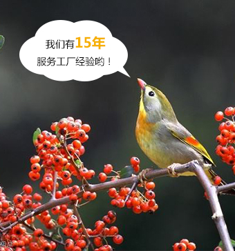 美泰指定水性玩具漆供應(yīng)廠(chǎng)家
