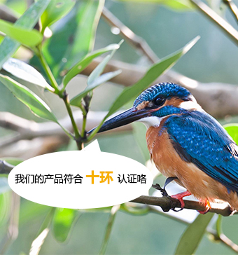 通過(guò)十環(huán)認(rèn)證的水性漆廠(chǎng)家