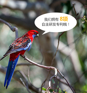 8項(xiàng)水性漆技術(shù)研發(fā)專(zhuān)利